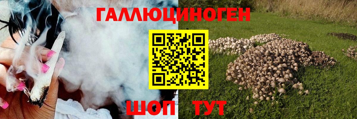Галлюциногенные грибы ЛСД Тимашёвск