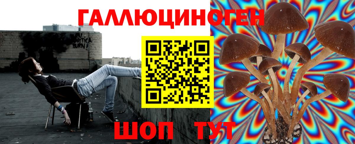Псилоцибиновые грибы прущие грибы  Псилоцибиновые грибы Psilocybine cubensis  Тимашёвск  Вход с VPN 